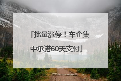 批量涨停！车企集中承诺60天支付