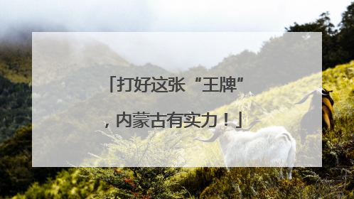 打好这张“王牌”，内蒙古有实力！