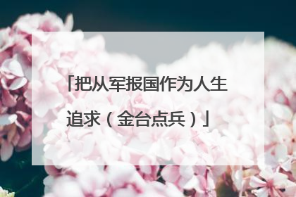 把从军报国作为人生追求（金台点兵）