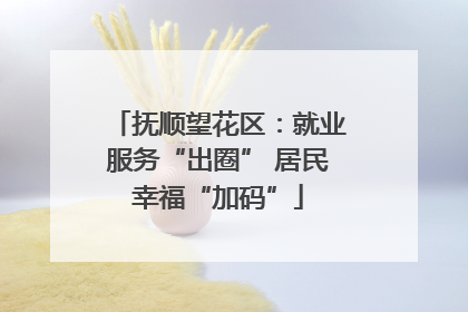 抚顺望花区：就业服务“出圈” 居民幸福“加码”