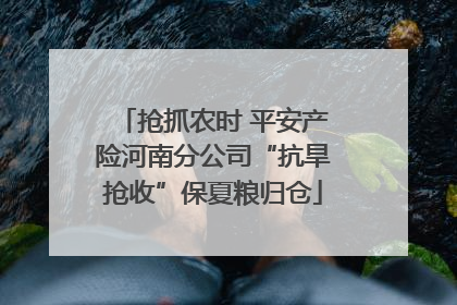 抢抓农时 平安产险河南分公司“抗旱抢收”保夏粮归仓