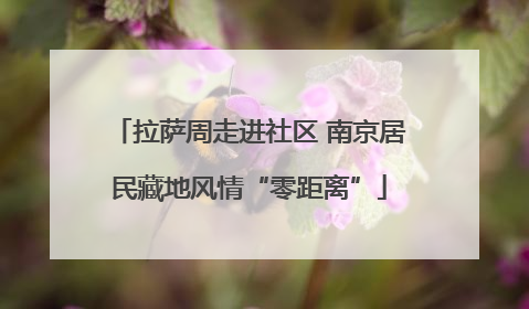 拉萨周走进社区 南京居民藏地风情“零距离”