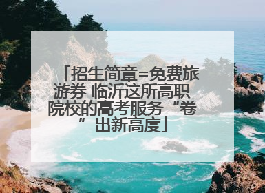 招生简章=免费旅游券 临沂这所高职院校的高考服务“卷”出新高度