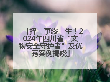 择一事终一生！2024年四川省“文物安全守护者”及优秀案例揭晓