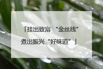 挂出致富 “金丝线” 煮出振兴“好味道”