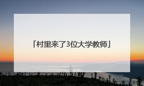 村里来了3位大学教师