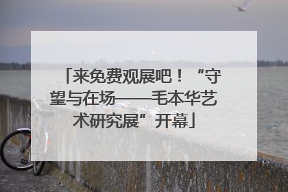 来免费观展吧！“守望与在场——毛本华艺术研究展”开幕
