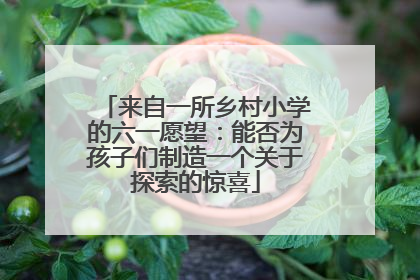 来自一所乡村小学的六一愿望：能否为孩子们制造一个关于探索的惊喜