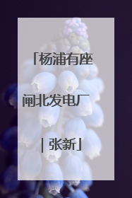 杨浦有座闸北发电厂｜张新