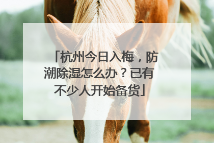 杭州今日入梅，防潮除湿怎么办？已有不少人开始备货