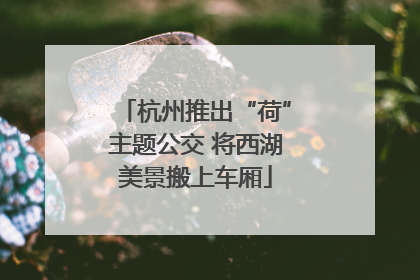 杭州推出“荷”主题公交 将西湖美景搬上车厢