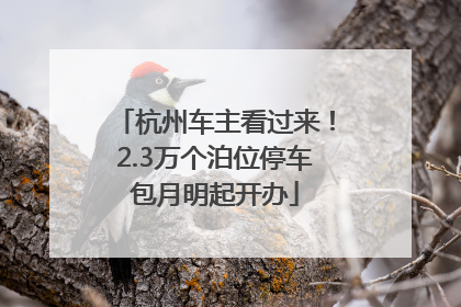 杭州车主看过来！2.3万个泊位停车包月明起开办