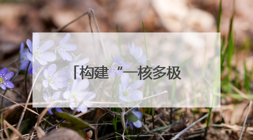 构建“一核多极”发展格局 四川宜宾打造产教融合城市样板