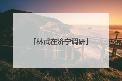 林武在济宁调研