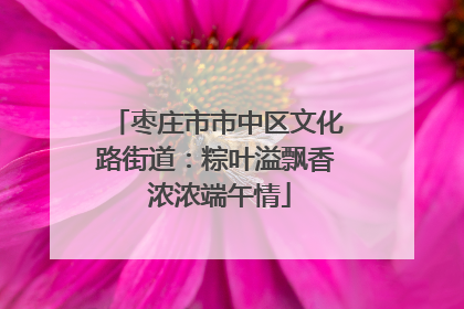 枣庄市市中区文化路街道：粽叶溢飘香 浓浓端午情