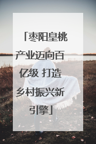枣阳皇桃产业迈向百亿级 打造乡村振兴新引擎