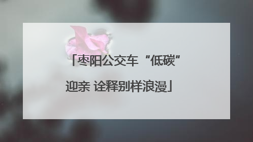 枣阳公交车“低碳”迎亲 诠释别样浪漫