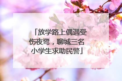 放学路上偶遇受伤夜鹭，聊城三名小学生求助民警