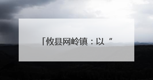攸县网岭镇：以“党建红”筑牢乡村教育“安全绿”