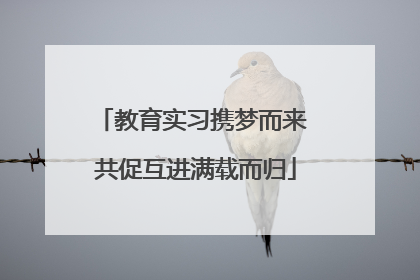 教育实习携梦而来 共促互进满载而归