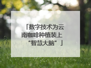 数字技术为云南咖啡种植装上“智慧大脑”