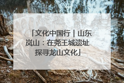 文化中国行｜山东岚山：在尧王城遗址探寻龙山文化
