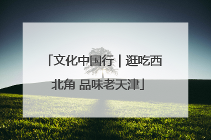 文化中国行｜逛吃西北角 品味老天津