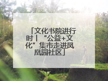 文化书院进行时丨“公益+文化”集市走进凤凰园社区