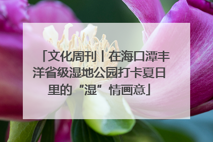 文化周刊丨在海口潭丰洋省级湿地公园打卡夏日里的“湿”情画意