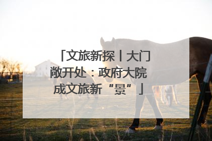 文旅新探丨大门敞开处：政府大院成文旅新“景”