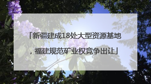 新疆建成18处大型资源基地，福建规范矿业权竞争出让
