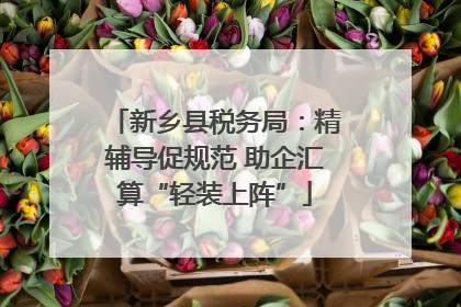 新乡县税务局：精辅导促规范 助企汇算“轻装上阵”