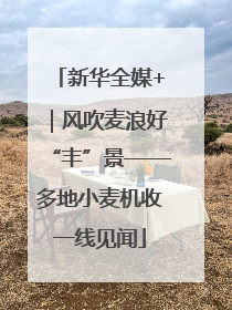 新华全媒+｜风吹麦浪好“丰”景——多地小麦机收一线见闻