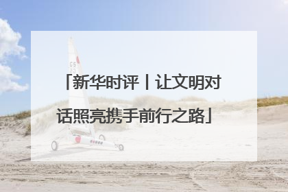 新华时评丨让文明对话照亮携手前行之路