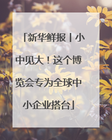 新华鲜报丨小中见大！这个博览会专为全球中小企业搭台