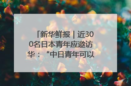 新华鲜报｜近300名日本青年应邀访华：“中日青年可以创造更好的未来”