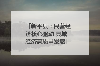 新平县：民营经济核心驱动 县域经济高质量发展