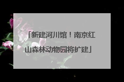 新建河川馆！南京红山森林动物园将扩建
