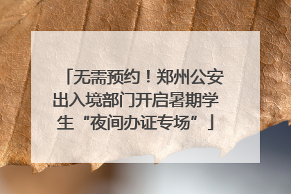 无需预约！郑州公安出入境部门开启暑期学生“夜间办证专场”