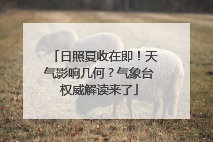 日照夏收在即！天气影响几何？气象台权威解读来了