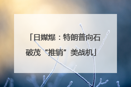 日媒爆：特朗普向石破茂“推销”美战机