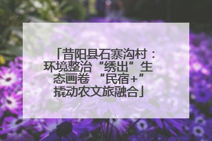 昔阳县石寨沟村：环境整治“绣出”生态画卷 “民宿+”撬动农文旅融合