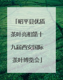 昭平县优质茶叶亮相第十九届西安国际茶叶博览会