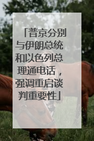 普京分别与伊朗总统和以色列总理通电话，强调重启谈判重要性