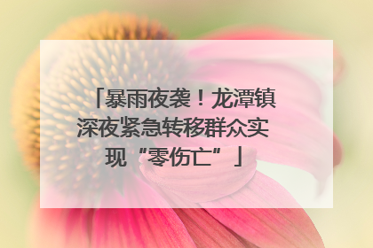 暴雨夜袭！龙潭镇深夜紧急转移群众实现“零伤亡”