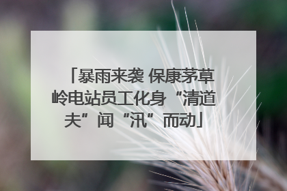 暴雨来袭 保康茅草岭电站员工化身“清道夫”闻“汛”而动