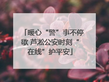 暖心“警”事不停歇 芦淞公安时刻“在线”护平安