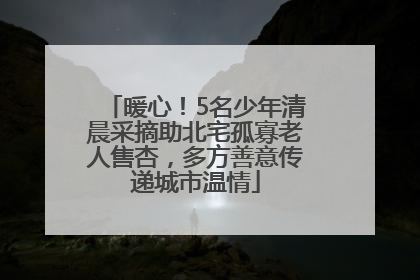 暖心！5名少年清晨采摘助北宅孤寡老人售杏，多方善意传递城市温情