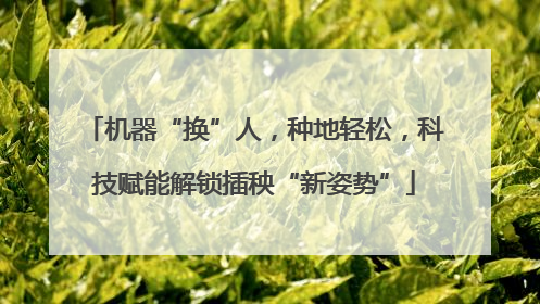 机器“换”人，种地轻松，科技赋能解锁插秧“新姿势”