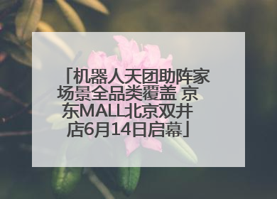 机器人天团助阵家场景全品类覆盖 京东MALL北京双井店6月14日启幕